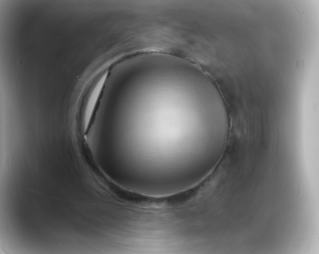 X0000088410247200706051159