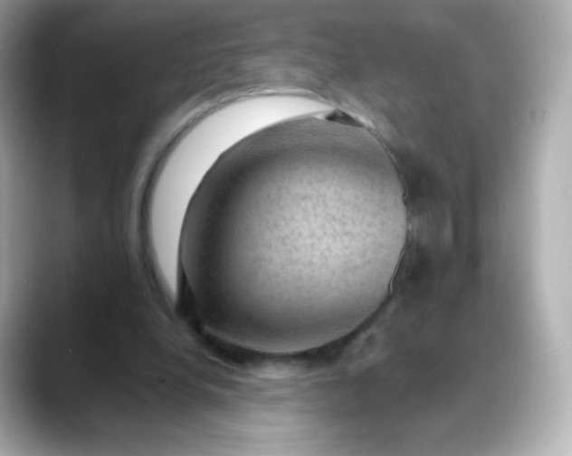 X0000088410248200706051159