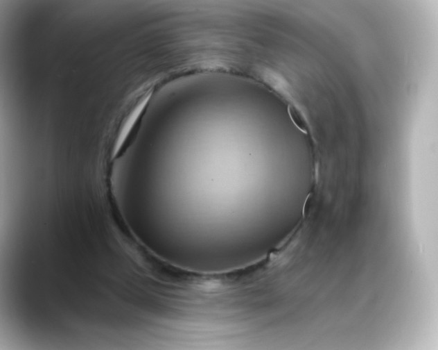 X0000088410249200706051159