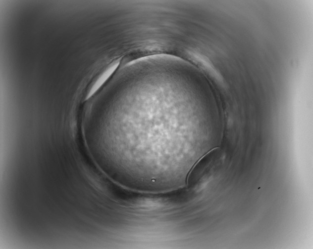 X0000088410250200706051159