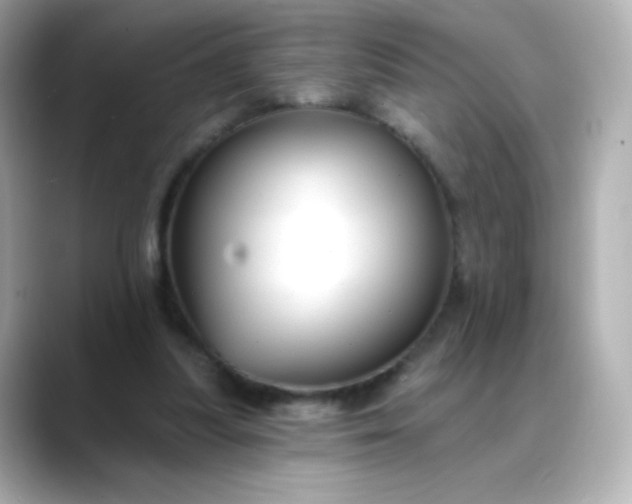 X0000088410251200706051159