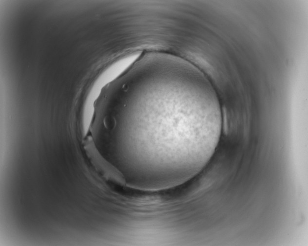 X0000088410252200706051159