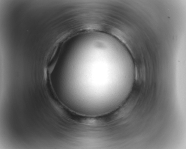 X0000088410253200706051159