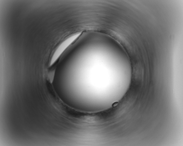 X0000088410255200706051159