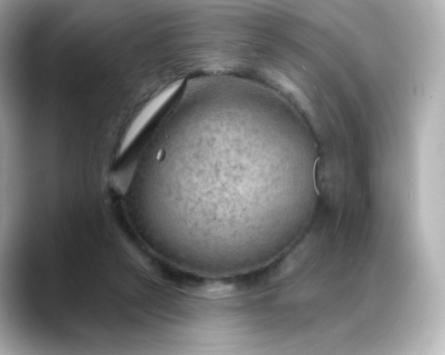 X0000088410257200706051159