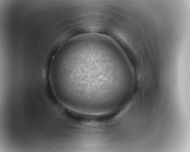 X0000088410258200706051159