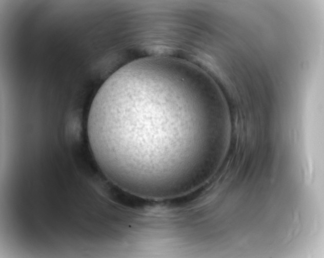 X0000088410259200706051159