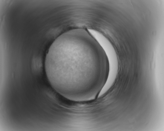 X0000088410260200706051159