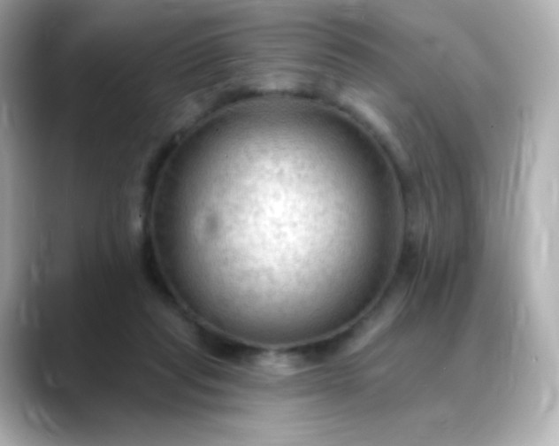 X0000088410261200706051159