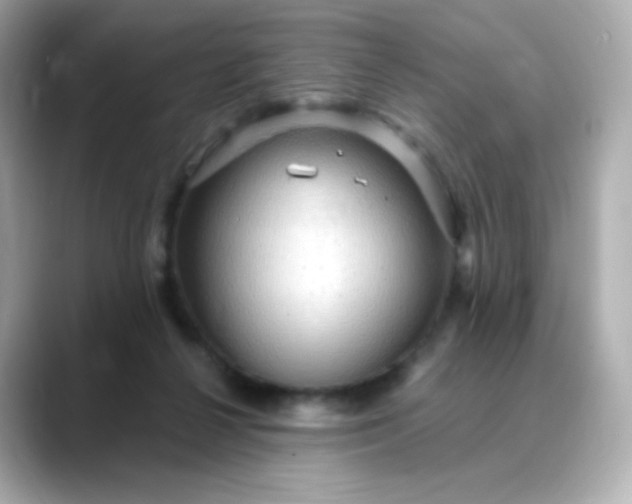 X0000088410264200706051159