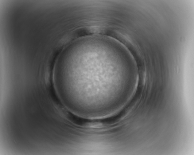 X0000088410266200706051159