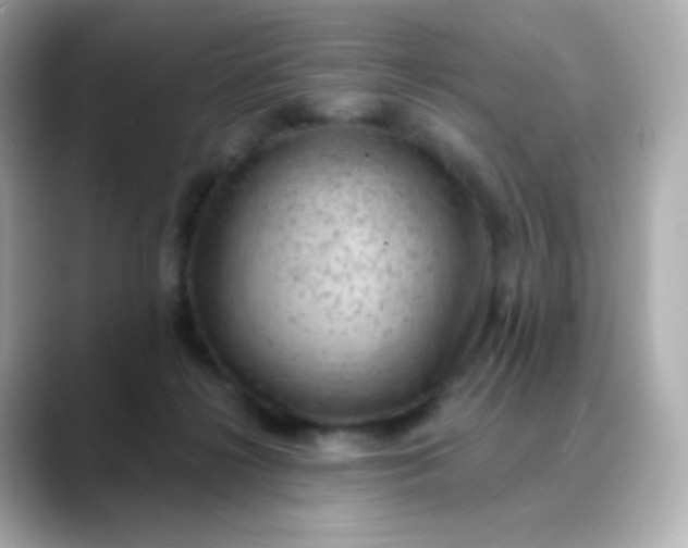 X0000088410268200706051159