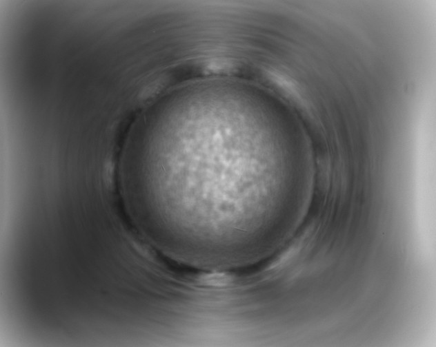 X0000088410269200706051159