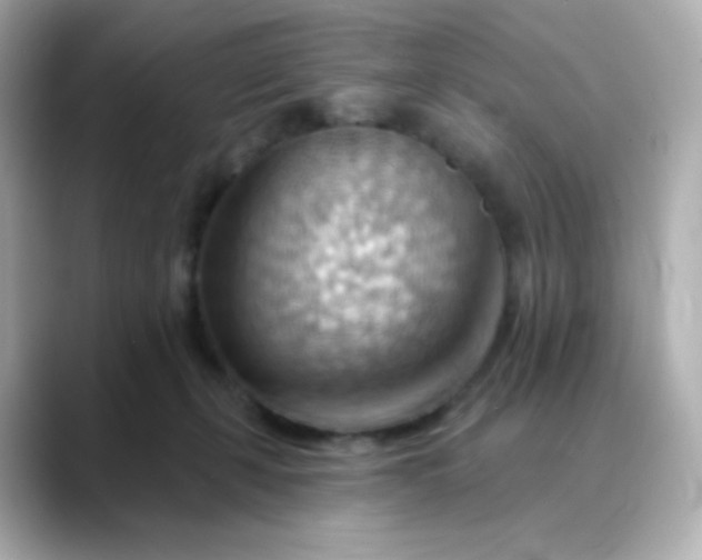 X0000088410271200706051159