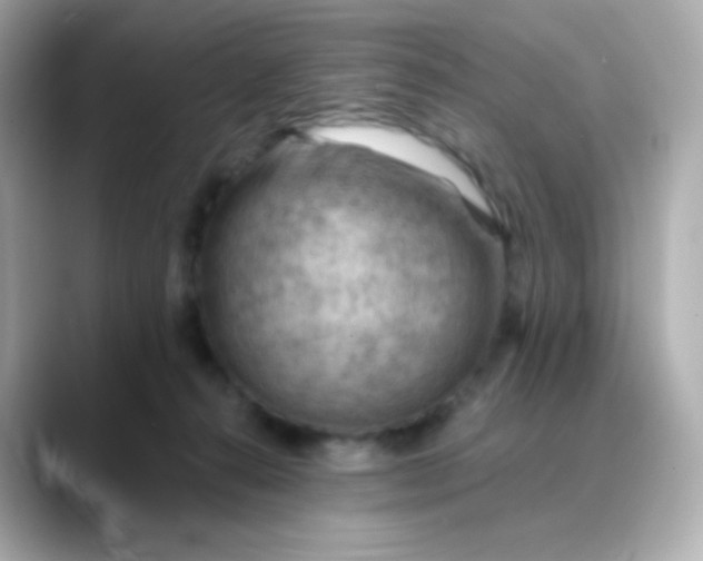 X0000088410272200706051159