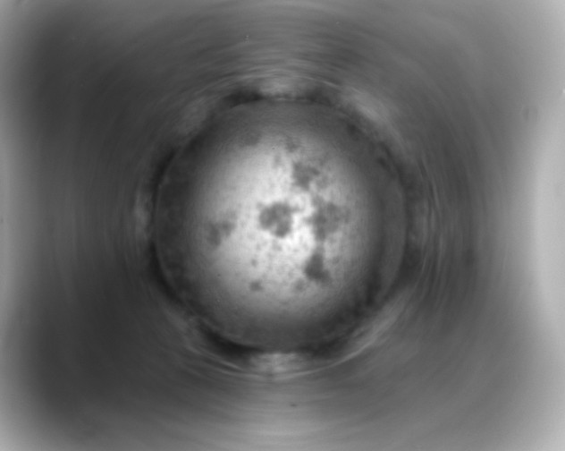 X0000088410273200706051159