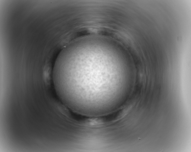 X0000088410275200706051159