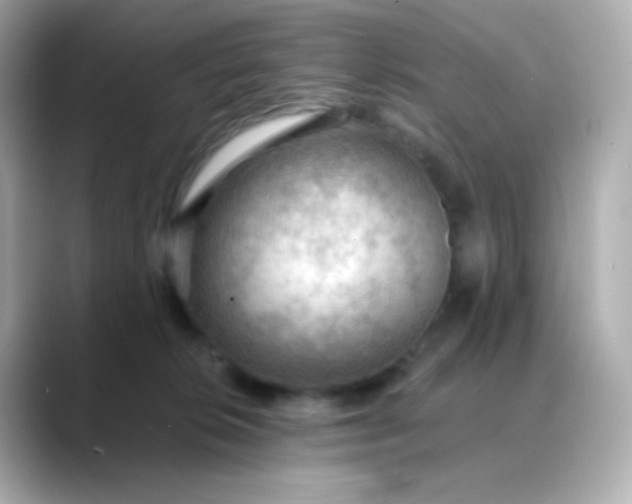 X0000088410276200706051159