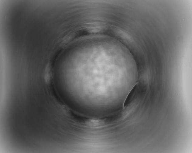 X0000088410277200706051159