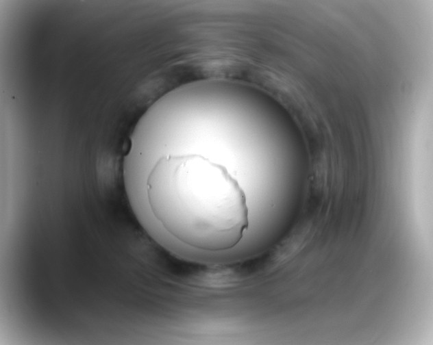 X0000088410278200706051159