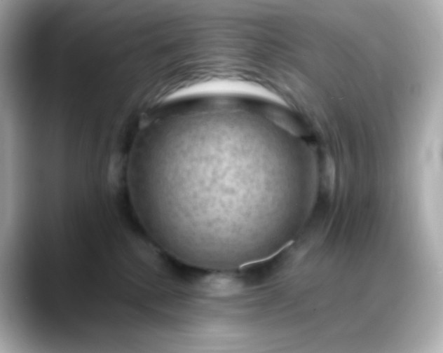 X0000088410280200706051159