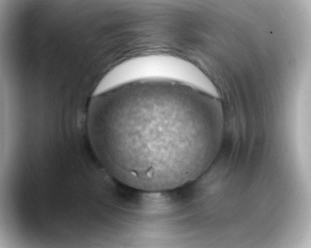 X0000088410281200706051159