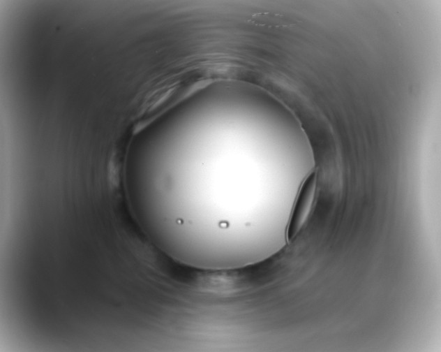 X0000088410282200706051159