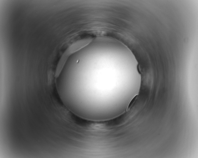 X0000088410283200706051159