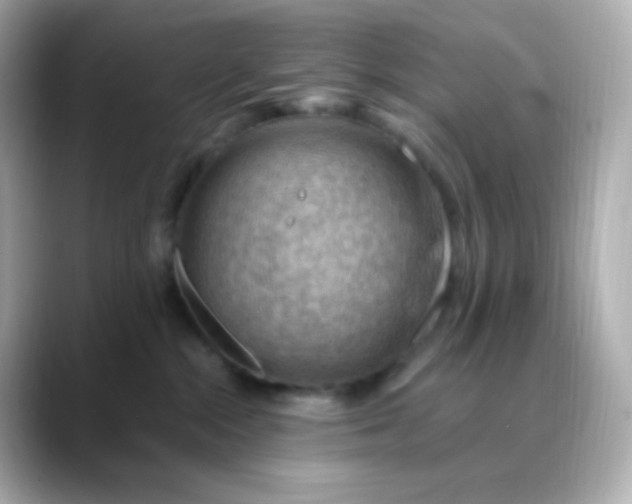 X0000088410284200706051159