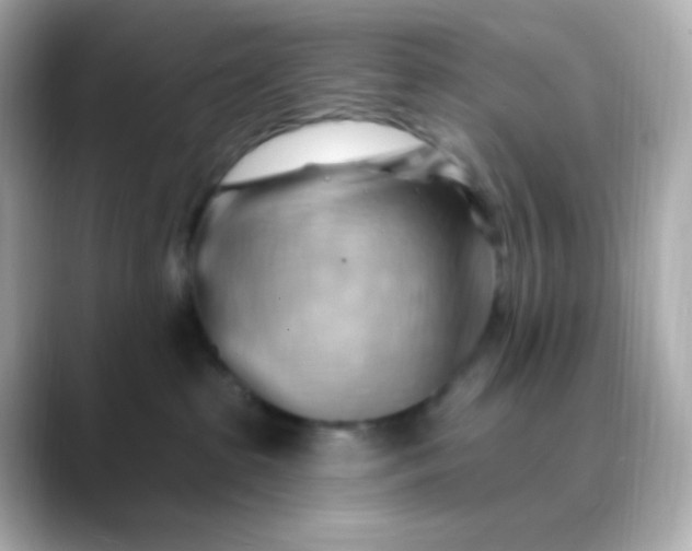 X0000088410285200706051159