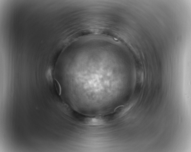 X0000088410286200706051159