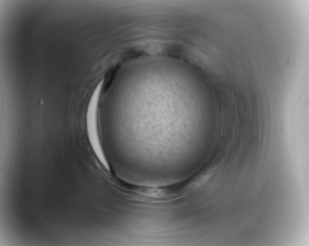 X0000088410288200706051159