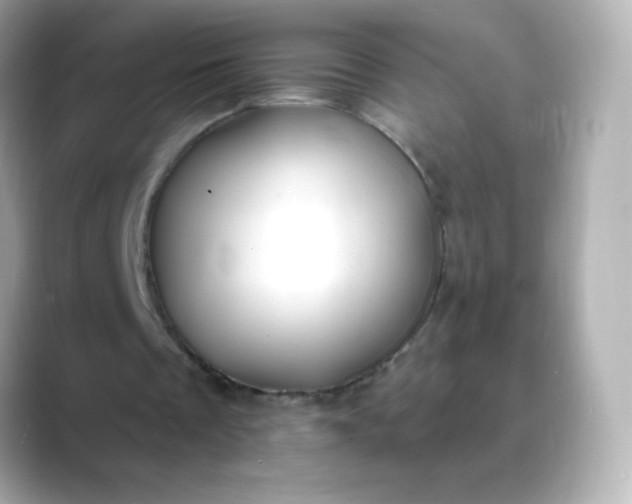 X0000088410289200706051158