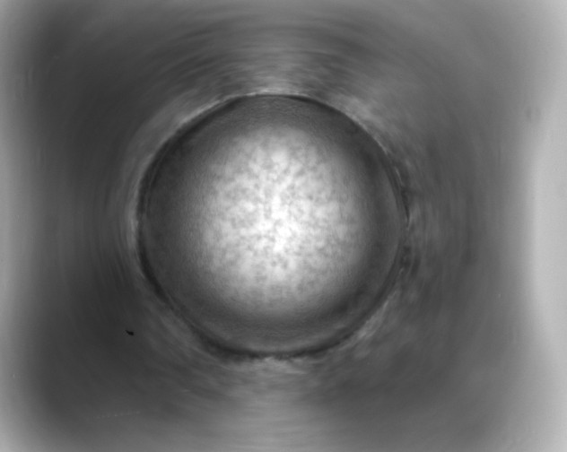 X0000088410290200706051158