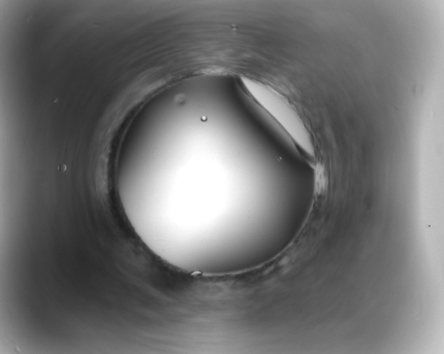 X0000088410291200706051158