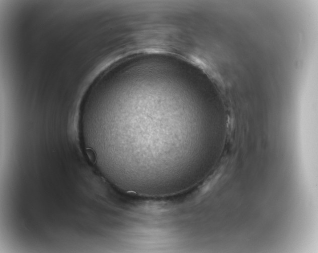 X0000088410292200706051158