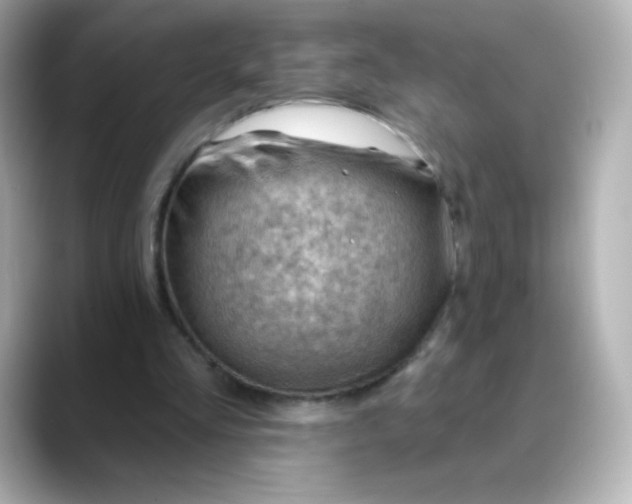 X0000088410293200706051158