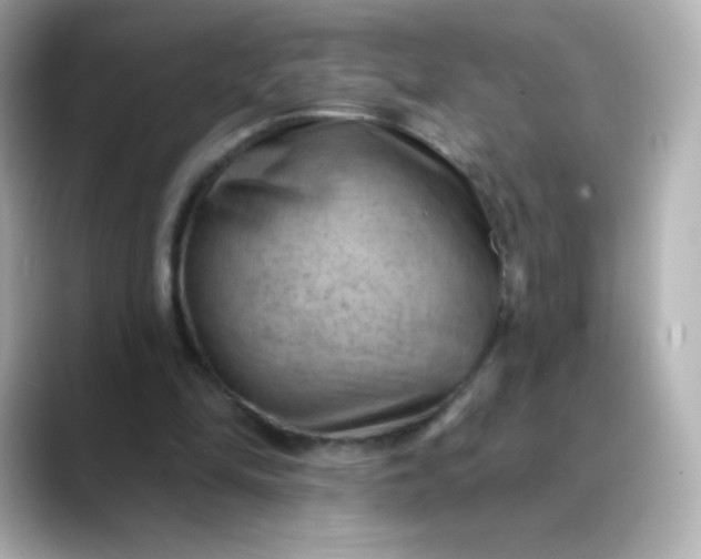 X0000088410294200706051158