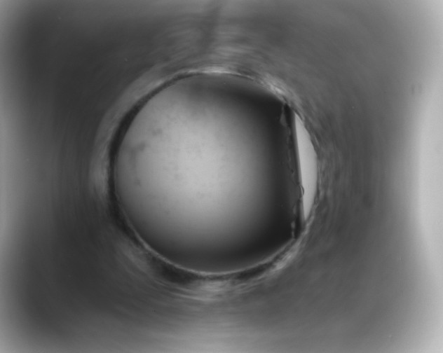 X0000088410295200706051158