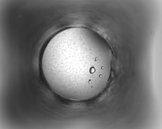 X0000088410296200706051158