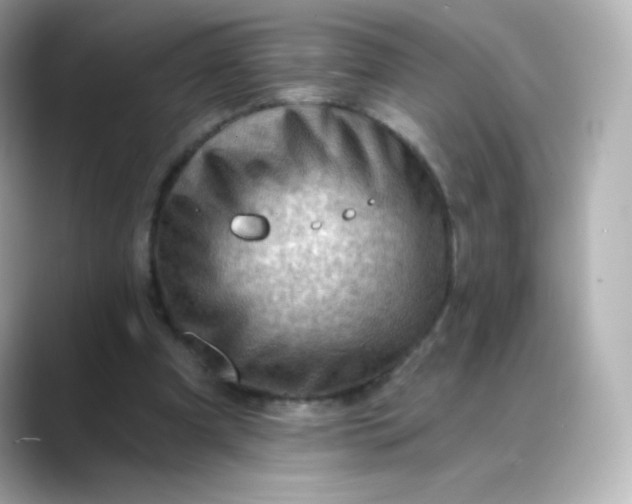 X0000088410297200706051158