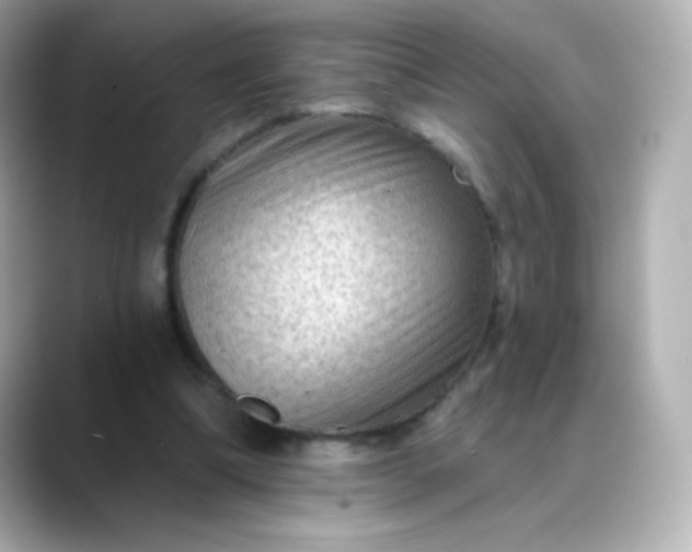 X0000088410298200706051158