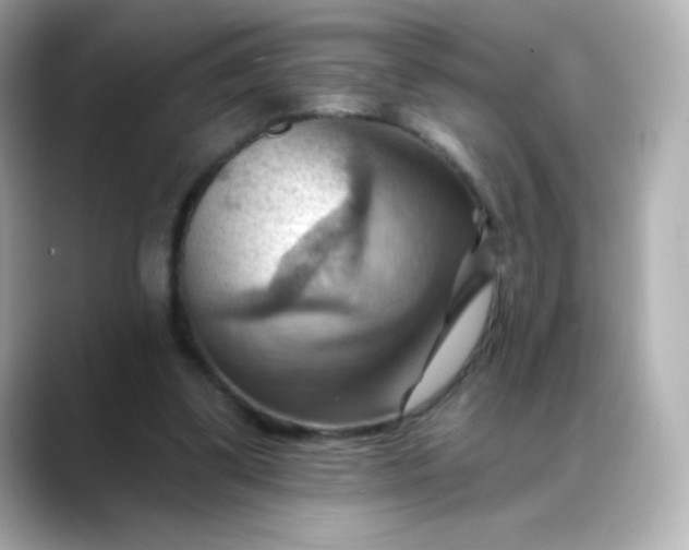 X0000088410299200706051158