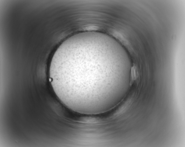 X0000088410300200706051158