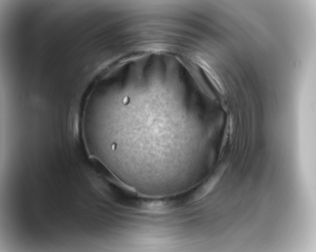 X0000088410301200706051158