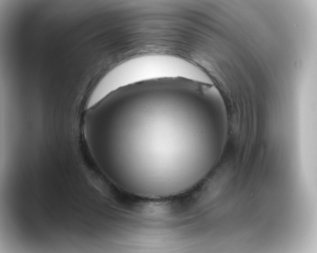 X0000088410303200706051158