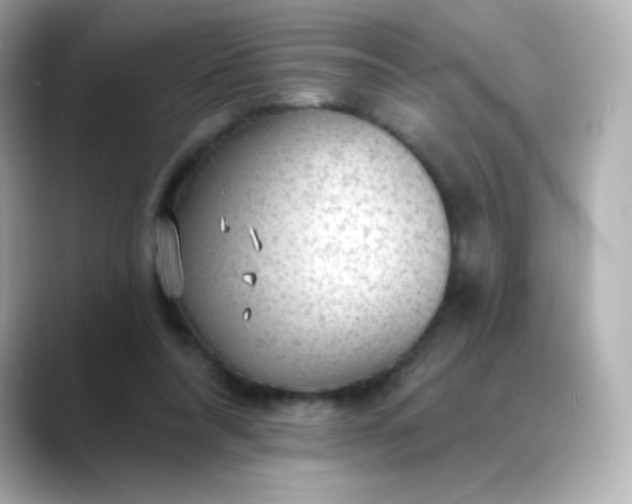 X0000088410304200706051158