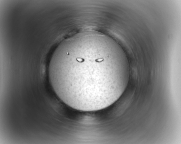 X0000088410308200706051158