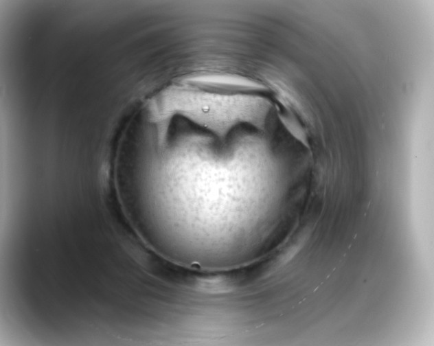 X0000088410309200706051158