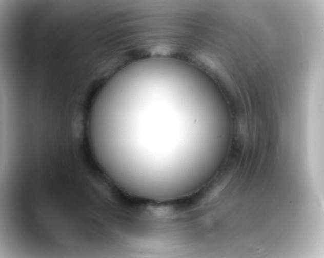 X0000088410311200706051158